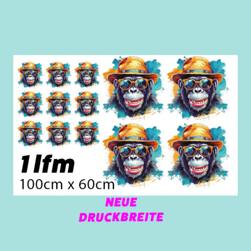 DTF Transfer 1lfm