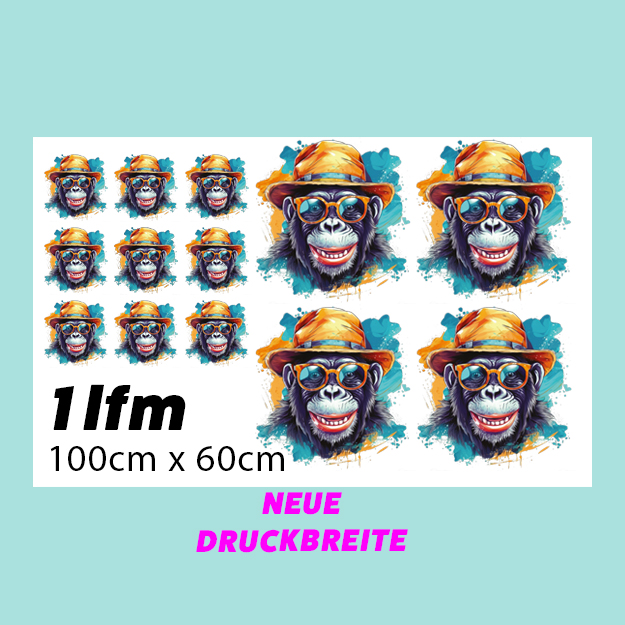DTF Transfer 1lfm