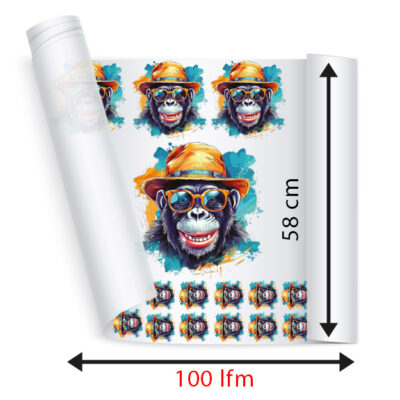 DTF Transfer 100lfm Packet