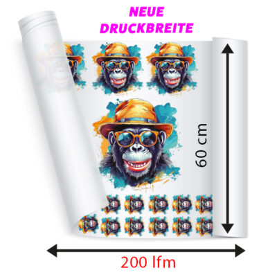 DTF Transfer 200lfm Paket