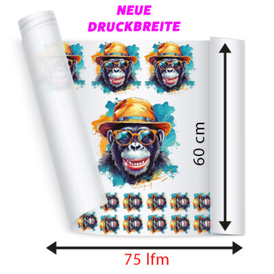 DTF Transfer 75lfm Paket